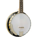 Gold Tone GT-500 Banjitar 6 String