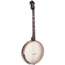 Gold Tone IT-17 17 Fret 4 String Irish Tenor Banjo w/Gig Bag