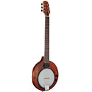 Gold Tone EB-6 Electric 6 String Banjitar w/Gig Bag and Humbucker