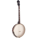Gold Tone IT-19 19 Fret 4 String Irish Tenor Banjo w/Gig Bag