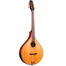 Gold Tone OM-800/PLUS Octave Mandolin w/Case