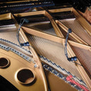 Audio Technica Atm 350Pl  Cardioid Condenser Instrument Microphone - Red One Music