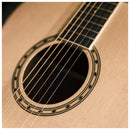 Peavey DELTA-WOODS DW-2 Solid Top Dreadnought Acoustic Guitar