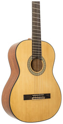 Peavey DELTA-WOODS CNS-1 Classical Nylon String Guitar