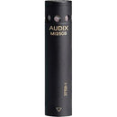 Audix M1250B Instrument Microphone - Red One Music