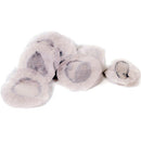 Williams AV EAR 045-100 Housses pour écouteurs sanitaires - Paquet de 100 (Blanc)