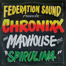 Serato 7" Serato Control Vinyl, Federation Sound, Chronixx, Inna Madhouse Style (paire, vert)