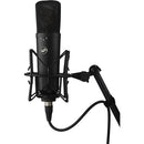 Warm Audio WA-87 R2 Multi-Pattern Condenser Microphone (Black)