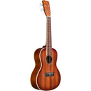 Cordoba 15CM-E Concert Ukulele - Edgeburst Satin