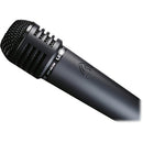 Microphone dynamique portable Lewitt MTP 440 DM