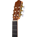 Cordoba PROTEGE-SERIES Guitare classique à cordes en nylon pleine grandeur - Naturel mat