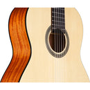 Cordoba PROTEGE-SERIES Guitare classique à cordes en nylon pleine grandeur - Naturel mat