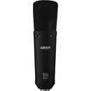 Warm Audio WA-87 R2 Multi-Pattern Condenser Microphone (Black)
