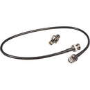 Sennheiser GA 2-XSW 2 rallonges et prises BNC pour monter une paire d'antennes à l'avant