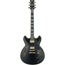 Ibanez JSM20BKL John Scofield Signature Semi Hollow-Body Electric Guitar (Black Hollow)