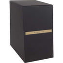 Dexibell DX SUBL3 Powered Subwoofer for CLASSICO L3 Digital Organ - 2 x 6.5"