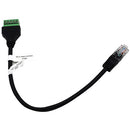 BirdDog BD-PTZK-422232 - Adaptateur RS-422/232 RJ45 pour clavier PTZ
