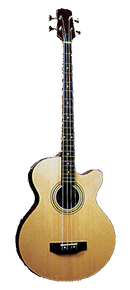 Jay Turser JTB-D100 Basse acoustique 4 cordes avec micro sous selle et égaliseur 4 bandes - Naturel