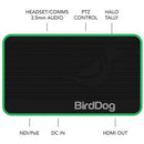 BirdDog BDFLEXDEC Flex 4K Out Full NDI Decoder