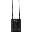 Saramonic UHFWIRELESS Système de microphone omni-cravate sans fil pour 2 personnes (514 à 596 MHz)