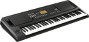 Korg EK-50 61-Key Arranger Keyboard With Built-In Speakers