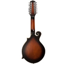 Gold Tone F12 12-String F-Style Mando-Guitar w/Pickup and Case