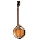 Gold Tone GT-750 Banjitar Deluxe 6 cordes