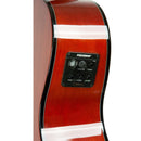 Gold Tone BZ-1000 Bouzouki Mandolin