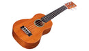 Ukulélé soprano Cordoba 20SM - Acajou 
