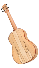 Cordoba 24B Spruce Baritone Ukulele (Natural Finish)