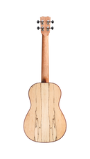 Cordoba 24B Spruce Baritone Ukulele (Natural Finish)