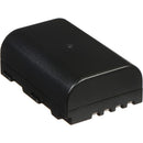 Batterie rechargeable au lithium-ion Panasonic DMW-BLF19 (7,2 V, 1860 mAh) 