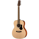 Walden Guitars STANDARD 300 - Guitare acoustique d'orchestre - Table en épicéa laminé