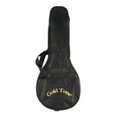 Gold Tone MANDOLA Traditional Irish Mandola w/Case