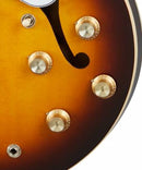 Epiphone USA CASINO Semi Hollow-Body Electric Guitar (Vintage Burst)