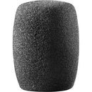 Audio-Technica AT8112 Large Foam Windscreen