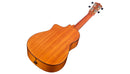 Cordoba 35T-CE Tenor Ukulele (Abalone)