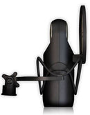 Microphones Aston Poule d'œil au microphone Ast-Element