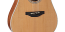 Takamine GD20CE-NS - Guitare électrique acoustique Dreadnought Pan coupé - Satin naturel