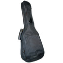 Profile TFB10 Folk Guitar Gig Bag