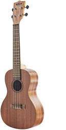 Kala KALA-LTP-C Learn To Play Concert Ukulele Starter Kit