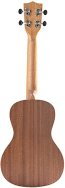 Kala KALA-LTP-C Learn To Play Concert Ukulele Starter Kit