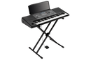 Korg PA600 61-Key Arranger With Color Touchview Speakers USB