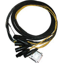 Avid DB25-XLR M+F AES/EBU DigiSnake - Serpent d'E/S numérique 12'