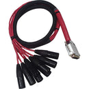 Avid DB25-XLRM Serpent de sortie analogique à numérique 4'