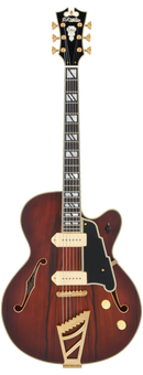 D'Angelico DAD59SBBGT Guitare électrique à corps creux (Satin Brown Burst)