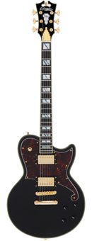 D'Angelico DADATLSBK2GS Guitare électrique (Noir massif)