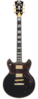D'Angelico DELUXE BRIGHTON Series Electric Guitar (Solid Black)