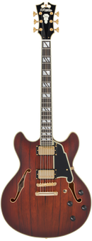 D'Angelico DELUXE DC Semi Hollow-Body Electric Guitar (Satin Brown Burst)