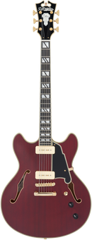D'Angelico DADDCSTWGS Deluxe DC Guitare électrique semi-creuse (Satin Trans Wine)